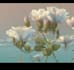 illustrate best botanical illustration