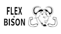 create compilers with yacc flex bison c cpp  custom language