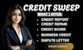do your credit report credit repair remove late payment inquiry removal