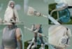 model and sculpt for 3d characters, creatures, or props