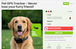 do shopify custom code or bug fixing and customizations