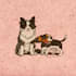 doodle cute pet illustrations for you