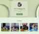 create you a portfolio