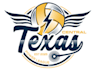 design unique volleyball logo