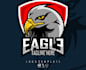 do luxury eagles logo design