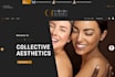 edit, design or redesign your website as an elementor pro expert