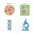 teach gcse and ap biology clear easy tutoring