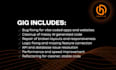 fix issues, errors and bugs in your vibe coded or ai project