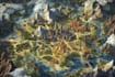 do you rpg fantasy map