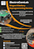 do attractive canva flyers design