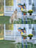 remove objects or people from your image professionally