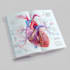 create professional medical, anatomy, textbook illustrations