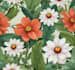 make botanical product illustration