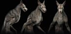 be 3d werewolf modeler, rigger and animator optimize for unity, ue5, fix polygon