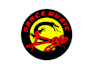 do make an modern custom dragon logo