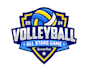 do a professional modern volleyball logo
