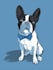 do pet portrait with disney style