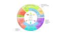 draw graphical abstract and scientific illustration