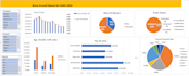 build excel pivot tables and interactive dashboards for sales