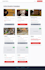 develop a professional laravel website with full functionality and modern design