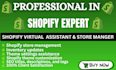 take charge of your shopify store as your virtual assistant