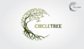 do modern tree logo design