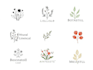 design a botanical logo
