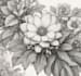 create your ideal botanical illustration