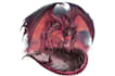 draw a dungeons and dragons character