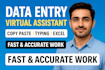 be your reliable data entry virtual assistant