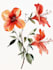 illustrate best botanical illustration