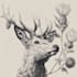 draw high quality animal, insect, and botanical art