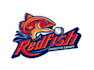 design modern fish logo