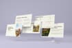 design and  redesign powerpoint presentation