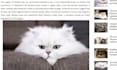 create relevant pet niche backlinks through premium content placement