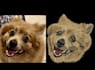 digitize embroidery designs to dst and pes files