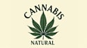 create beautiful cannabis leaf logo design