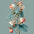 draw a botanical illustration