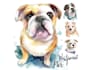 draw cute pet watercolor portrait illustration