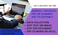 do professional PDF to word and excel conversion