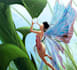 draw a fairy tale illustrations