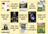 design professional advertisement flyers and pamphlets
