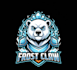 make custom unique mascot  bear logo with t shirt design