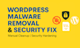 remove malware from the hacked wordpress site and secure it