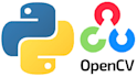 build object detection, segmentation and tracking systems using yolo and opencv