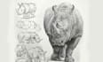 create fantasy animal and pet illustration