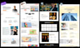 design a professional wordpress website with elementor
