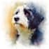paint stunning pet portrait