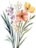 do a botanical illustration