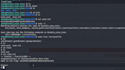 do professional web penetration testing